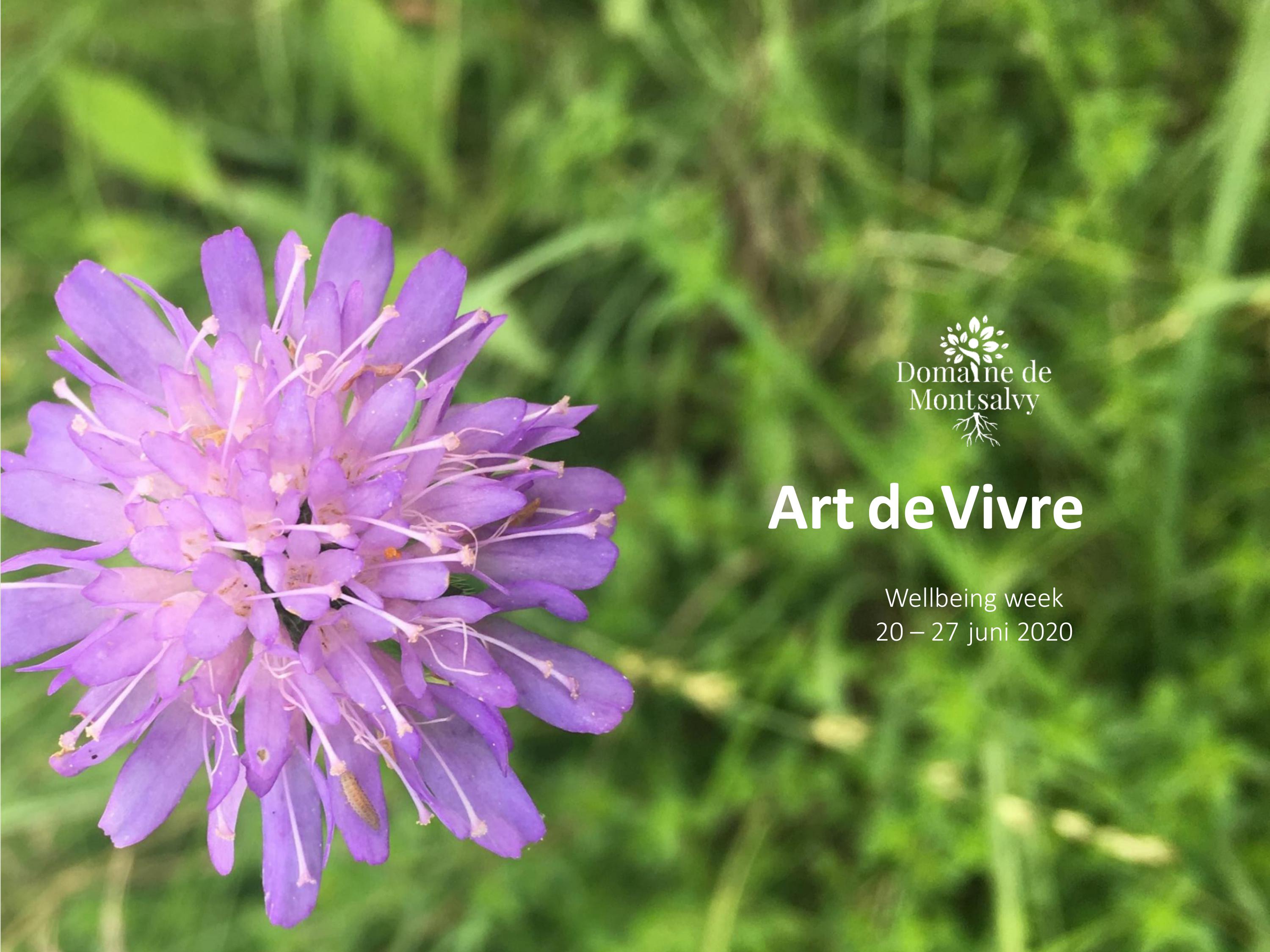 aanpak individueel levenslot